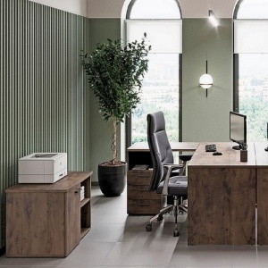 Доступные качество и стиль для вашего офиса – LEMO